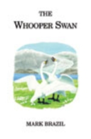 Brazil : The Whooper Swan :