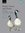 Kear: Ducks, Geese and Swans - Anseriformes