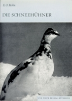 Höhn : Die Schneehühner : Gattung Lagopus. Neue Brehm-Bücherei, Band 408