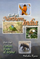 Rymer: Birding Northern India, Part 1