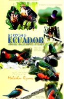 Rymer : Birding Ecuador : Hummers, Howlers & Hissing Hoatzin