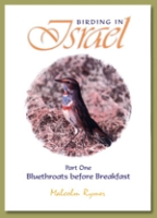 Rymer : Birding in Israel : Part 1: Bluethroats before Breakfast