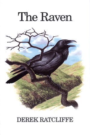 Ratcliffe: The Raven