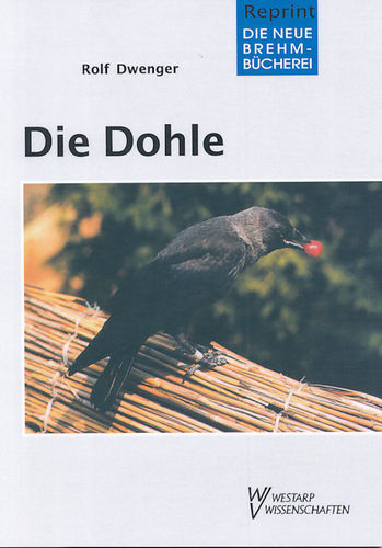 Dwenger: Die Dohle - Corvus monedula