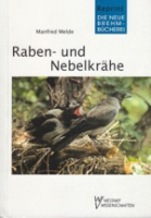 Melde : Raben- und Nebelkrähe : Corvus corone und Corvus cornix - Neue Brehm-Bücherei, Bd. 414