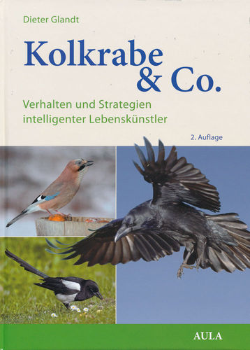 Glandt: Kolkrabe & Co. - Verhalten und Strategien intelligenter Lebenskünstler