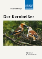 Krüger : Der Kernbeißer : Coccothraustes coccothraustes - Neue Brehm-Bücherei, Bd. 525