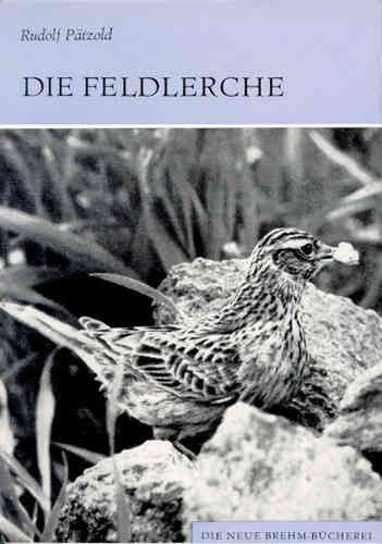 Pätzold: Die Feldlerche - Alauda arvensis
