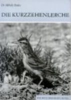 Endes : Die Kurzzehenlerche : Calandrella brachydactyla - Neue Brehm-Bücherei, Band 422