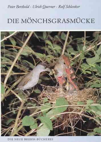 Berthold, Querner, Schlenker: Die Mönchsgrasmücke - Sylvia atricapilla