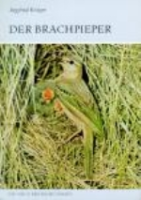 Krüger : Der Brachpieper : Anthus campestris - Neue Brehm-Bücherei, Bd. 598