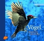 Varesvuo : Vögel - Magische Momente : Europäischer Naturfotograf des Jahres: Kategorie Vögel