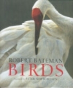Bateman : Birds :