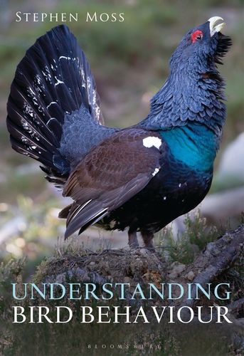 Moss: Understanding Bird Behaviour
