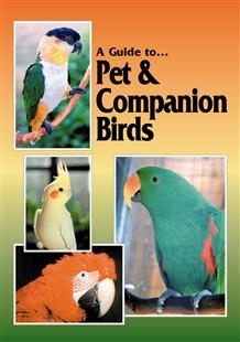 Dorge, Sibley: A Guide to Pet and Companion Birds