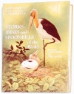 Hancock. Kushlan, Kahl : Storks, Ibises and Spoonbills of the World :