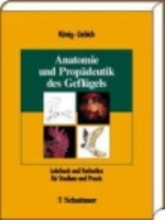 König, Liebich (Hrsg.) : Anatomie und Propädeutik des Geflügels : Lehrbuch und Farbatlas für Studium und Praxis