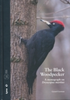 Gorman : The Black Woodpecker : A monograph on Dryocopus martius