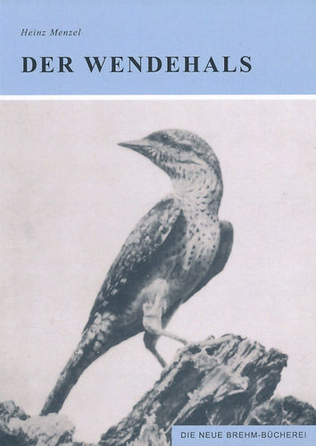 Menzel: Der Wendehals - Jynx torquilla.