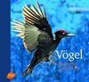 Varesvuo : Vögel - Magische Momente : Europäischer Naturfotograf des Jahres: Kategorie Vögel