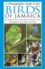 Downer, Sutton, Haynes Sutton : A Photographic Guide to the Birds of Jamaica