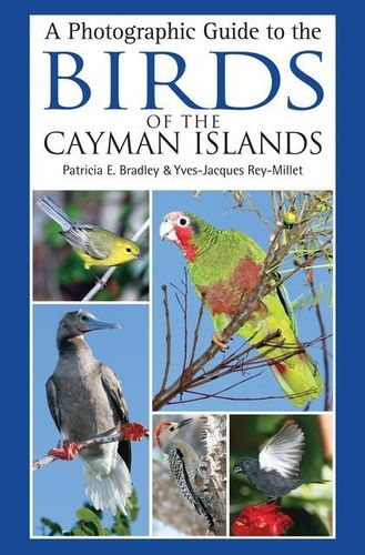 Bradley, Rey-Millet: A Photographic Guide to the Birds of the Cayman Islands