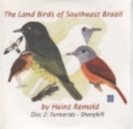 Remold : The Land Birds of Southeast Brazil : Disc 2: Furnarids - Sharpbill