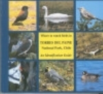 Couve, Vidal-Ojeda : Where to Watch Birds in Torres del Paine Nationalpark, Chile : An Identification Guide