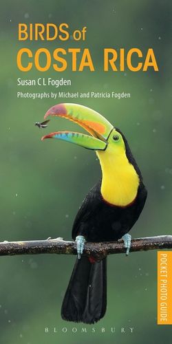 Fogden, Fogden, Fogden: Birds of Costa Rica