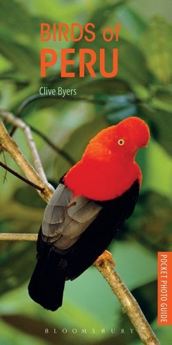 Byers: Photographic Guide to the Birds of Peru