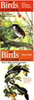 Ridgely, Greenfield : The Birds of Ecuador : Volume I und Volume II