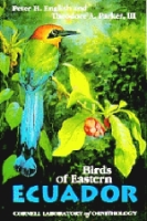 English, Parker III : Birds of the Eastern Ecuador :