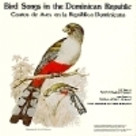 Reynard : Bird Songs in the Dominicanian Republic :