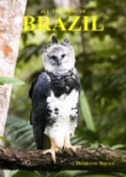 Souza : All the Birds of Brazil : An Identification Guide