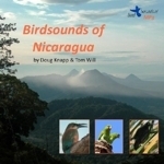 Knapp, Will : Birdsounds of Nicaragua :
