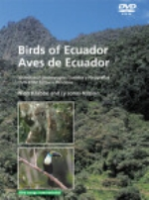 Krabbe, Nilsson : Birds of Ecuador - Aves de Ecuador : Sounds and photographs - Sonidos y fotografias