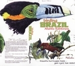 Rymer : Birding Brazil - The Atlantic Rainforest :