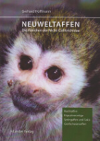 Hoffmann : Neuweltaffen : Nachtaffen, Kapuzinerartige, Springaffen und Sakis, Greifschwanzaffen