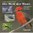 Perger : Die Welt der Tiere: Tierartenlexikon der Vögel : 1.000 Vogelarten - 2.000 Farbfotos - 1.000 Verbreitungskarten