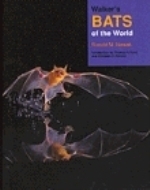 Nowak : Walker's Bats of the World :