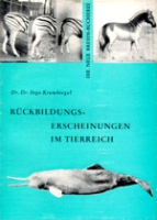 Krumbiegel : Rückbildungserscheinungen im Tierreich : Neue Brehm-Bücherei, Band 283