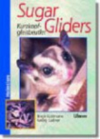 Gollmann, Gaßner : Sugar Gliders : Kurzkopfgleitbeutler