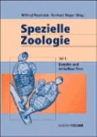 Westheide, Rieger : Spezielle Zoologie : Teil 1: Einzeller und wirbellose Tiere