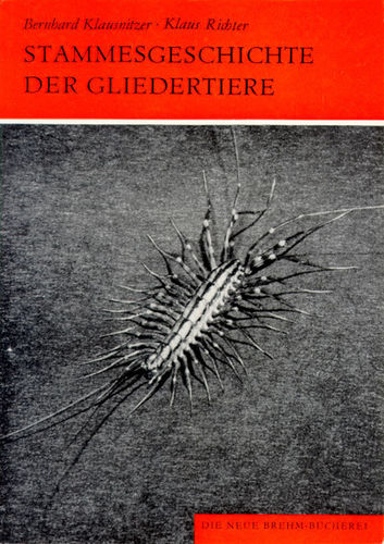Klausnitzer, Richter: Stammesgeschichte der Gliedertiere - Articulata