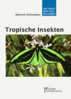 Schmutterer : Tropische Insekten - Meisterwerke der Evolution : Einblick in die Formenvielfalt und faszinierende Biologie tropischer Kerbtiere