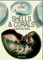 Seba : Shells and Corals : Muscheln und Korallen - Coquillages & Coraux - Moluscis & Corales