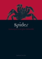 Michalski : Spider :