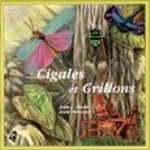 Roché, Thevenet : Cicades and Crickets and othe Singing Insects of the World : Cigales et Grillons et autres Insectes Chanteurs du Monde
