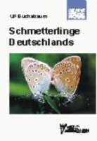 Buchsbaum : Schmetterlinge Deutschlands : Teil 1