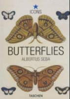Seba : Butterflies & Insects - Schmetterlinge & Insekten :